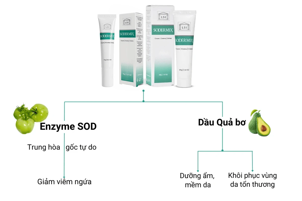 5.webp
